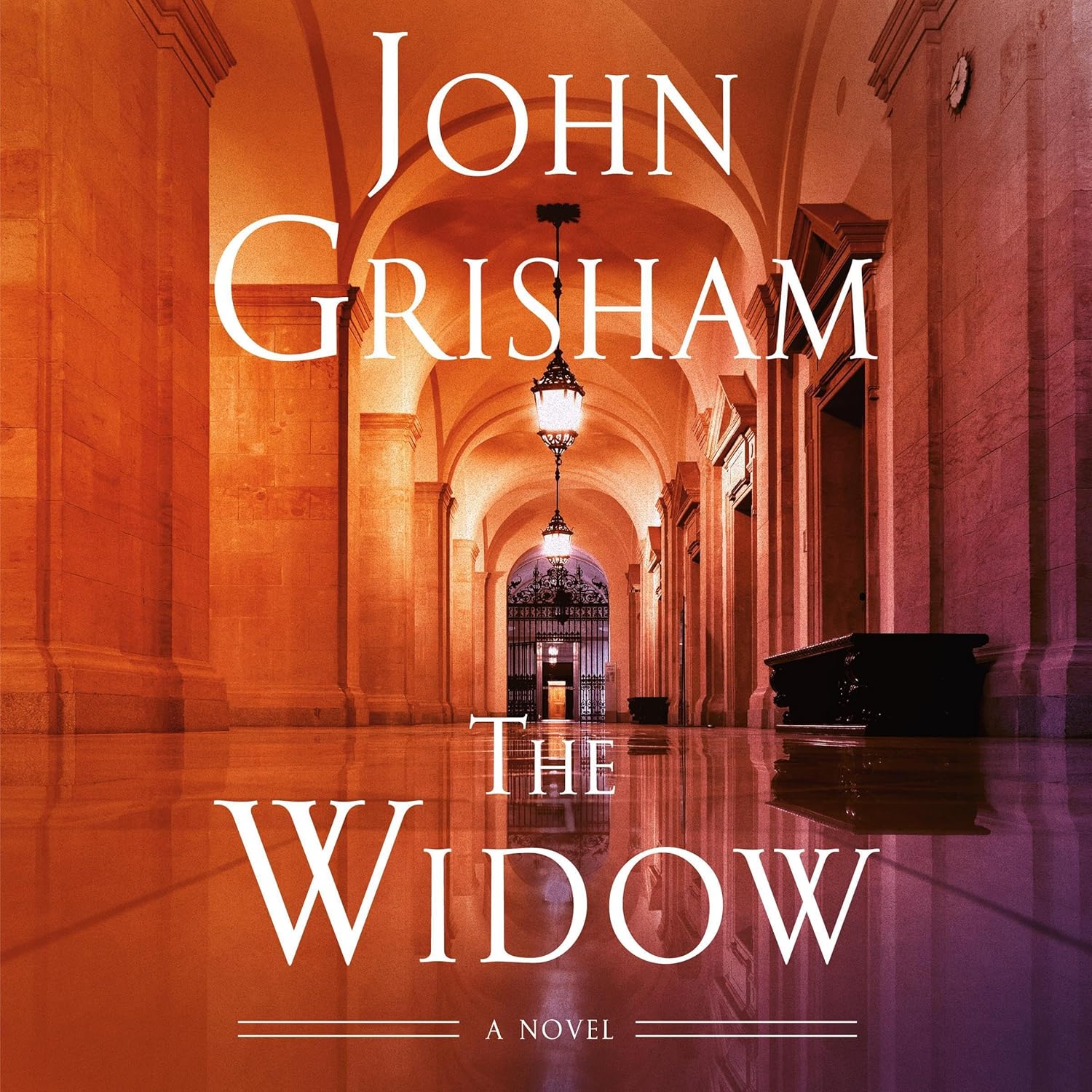 the widow: a novel the widow: a novel